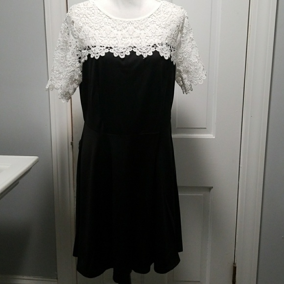 *1 XL LEFT!* Plus Size Lace Detail Dress - Picture 2 of 6
